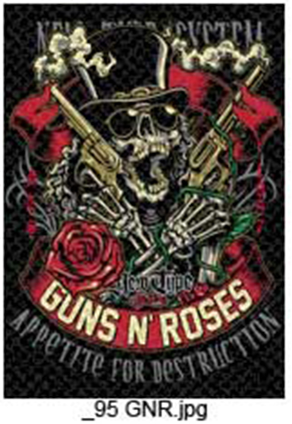 Guns N' Roses 95